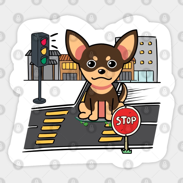 Cute small dog is skate boarding on the street Sticker by Pet Station